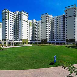 Provident Sunworth City