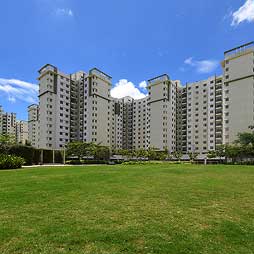 Provident Sunworth City